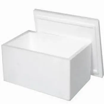 EPS Thermocol Box eps thermocol box-1600997-63025.webp